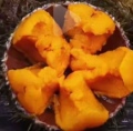 多益天然海胆店