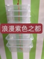 浪漫紫色之都