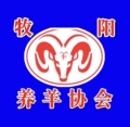 景川牧阳工厂店