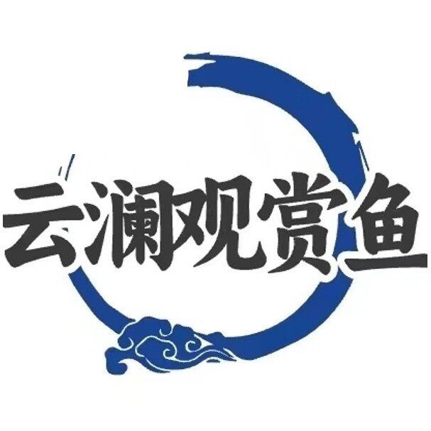 云澜观赏鱼金波子