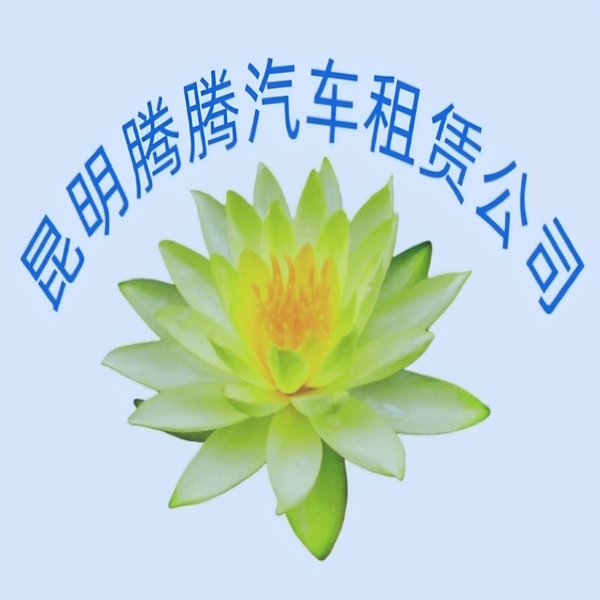 腾腾旅游租车 店铺LOGO