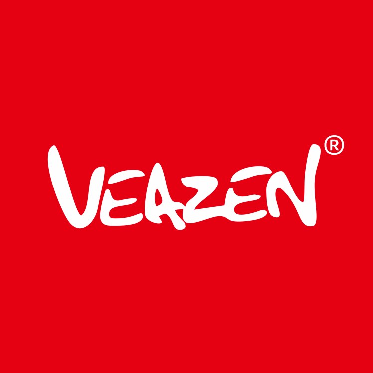 VEAZEN费森乐器直销店