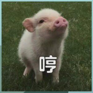 利牧饲料添加剂经营部