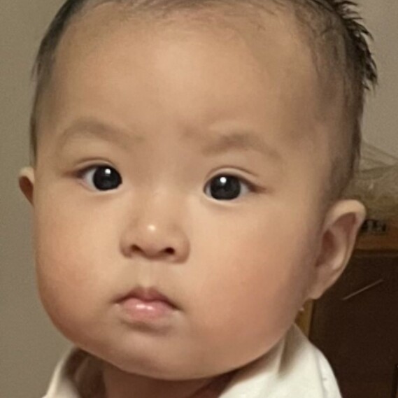 蒂菲乐童