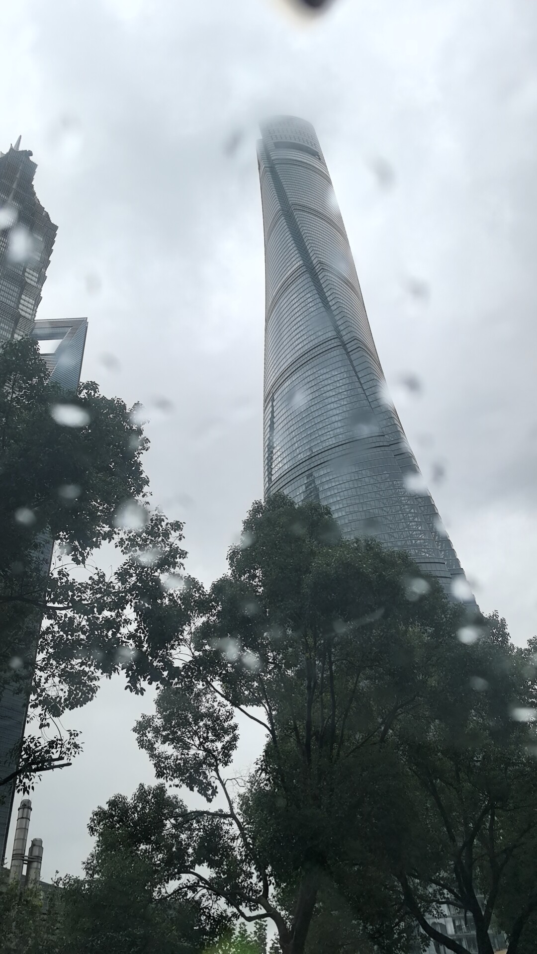 芒果派优选 店铺LOGO