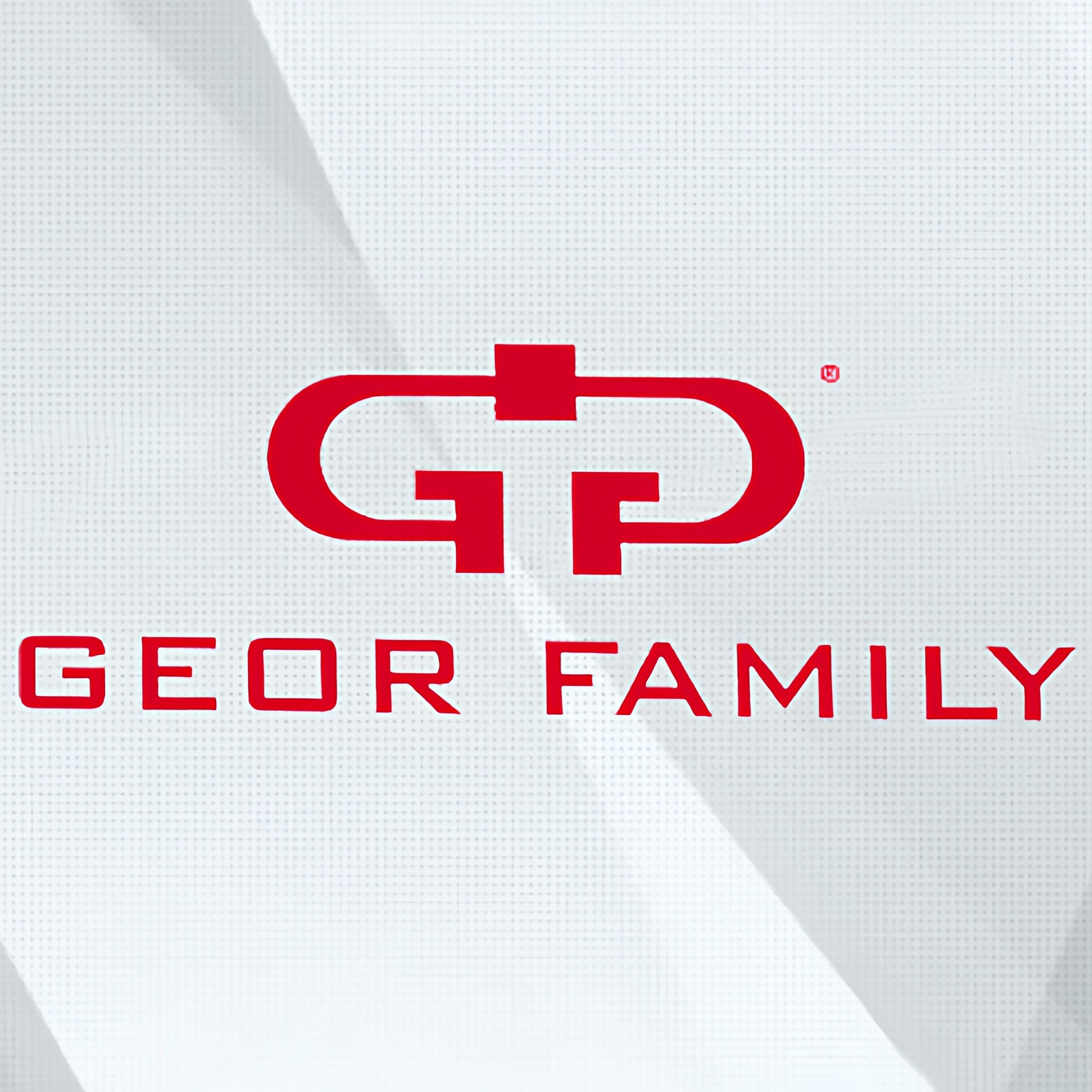 GEOR FAMILY箱包奢品店 店铺LOGO