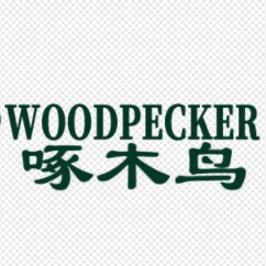 啄木鸟皮鞋店 店铺LOGO