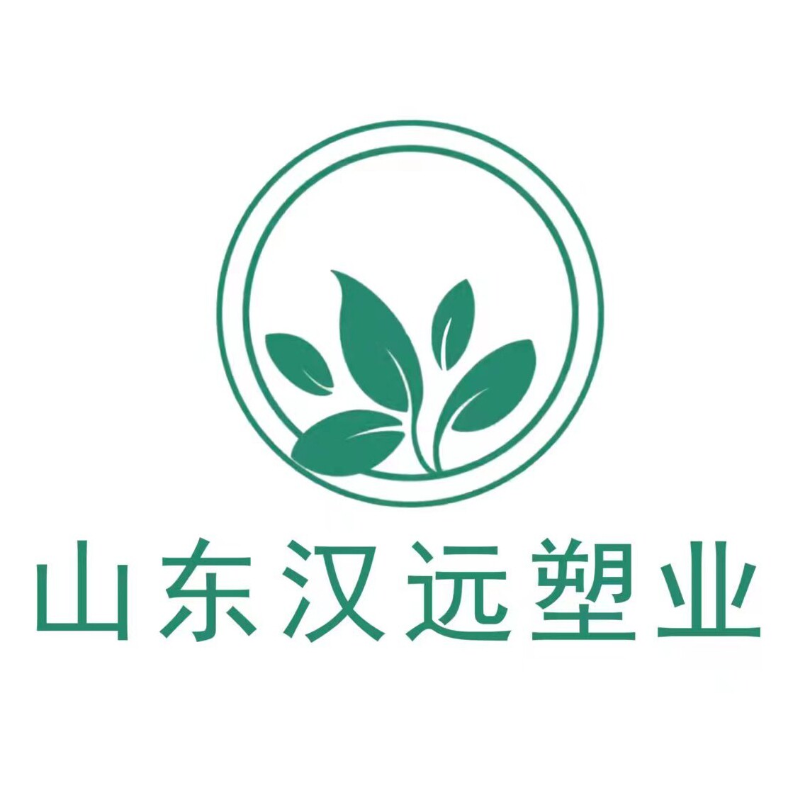 山东汉远塑业