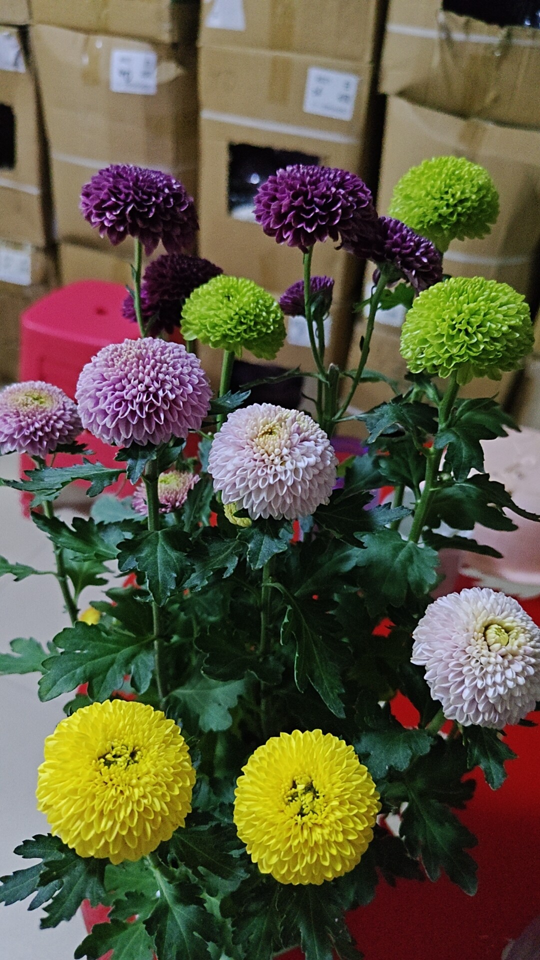 酷随我动鞋店