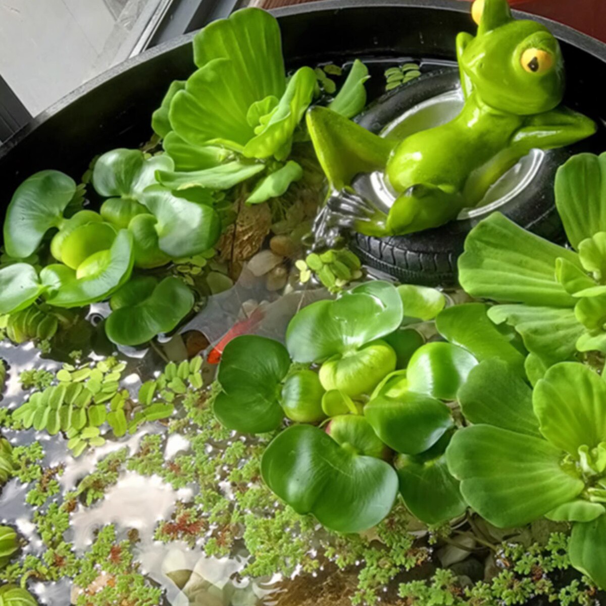 欣成宇花卉