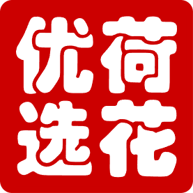 荷花优选哈尔滨特产美食一号店