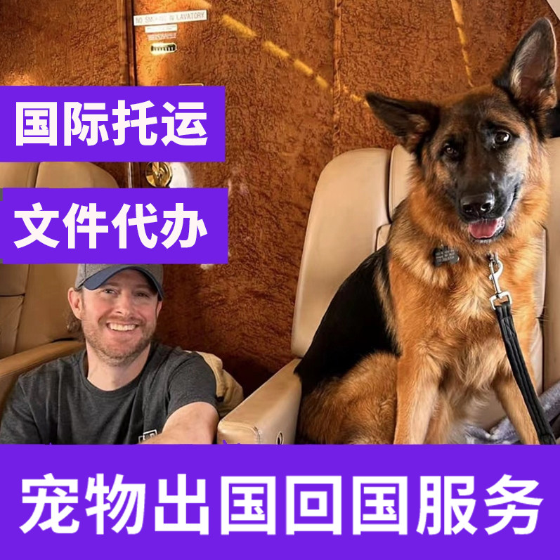 万宠界 宠物出国 宠物移民