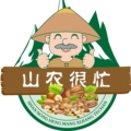 山农很忙新疆特产