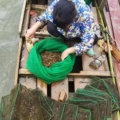 粤北生鲜河鱼山味肉铺