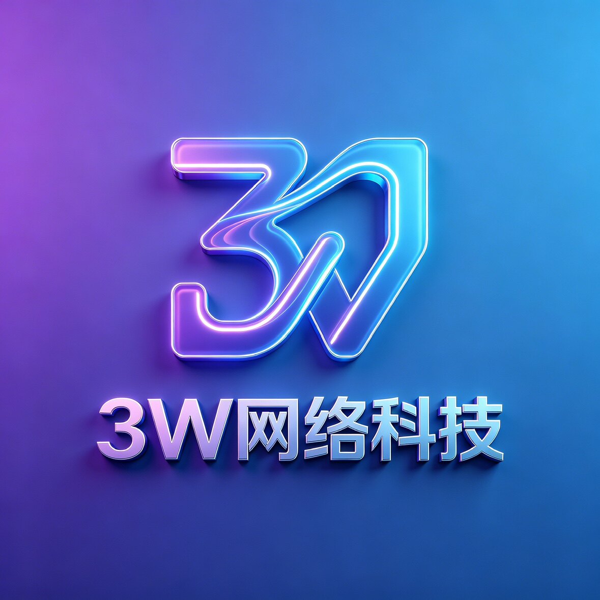 3W网络科技