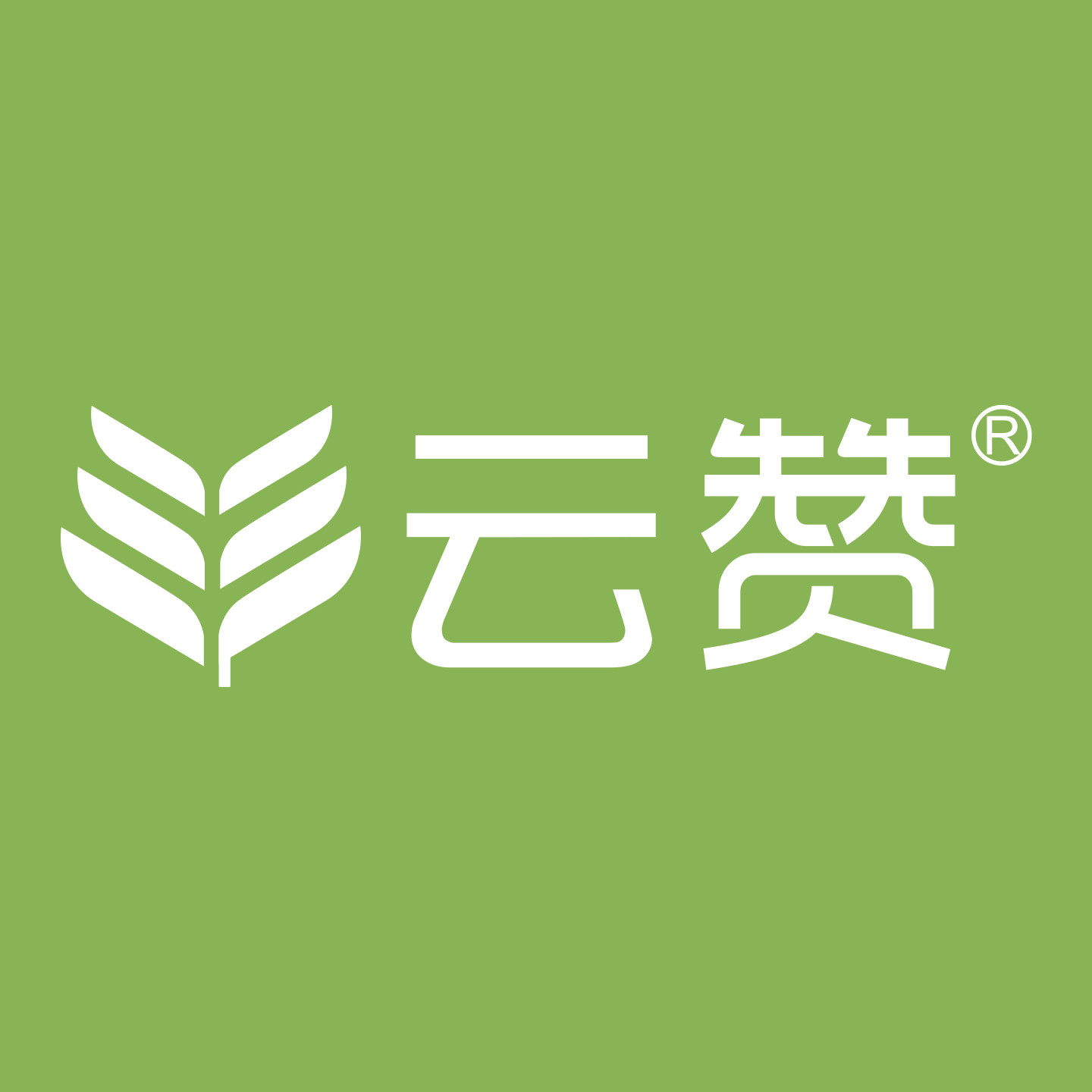 云赞床垫品牌店
