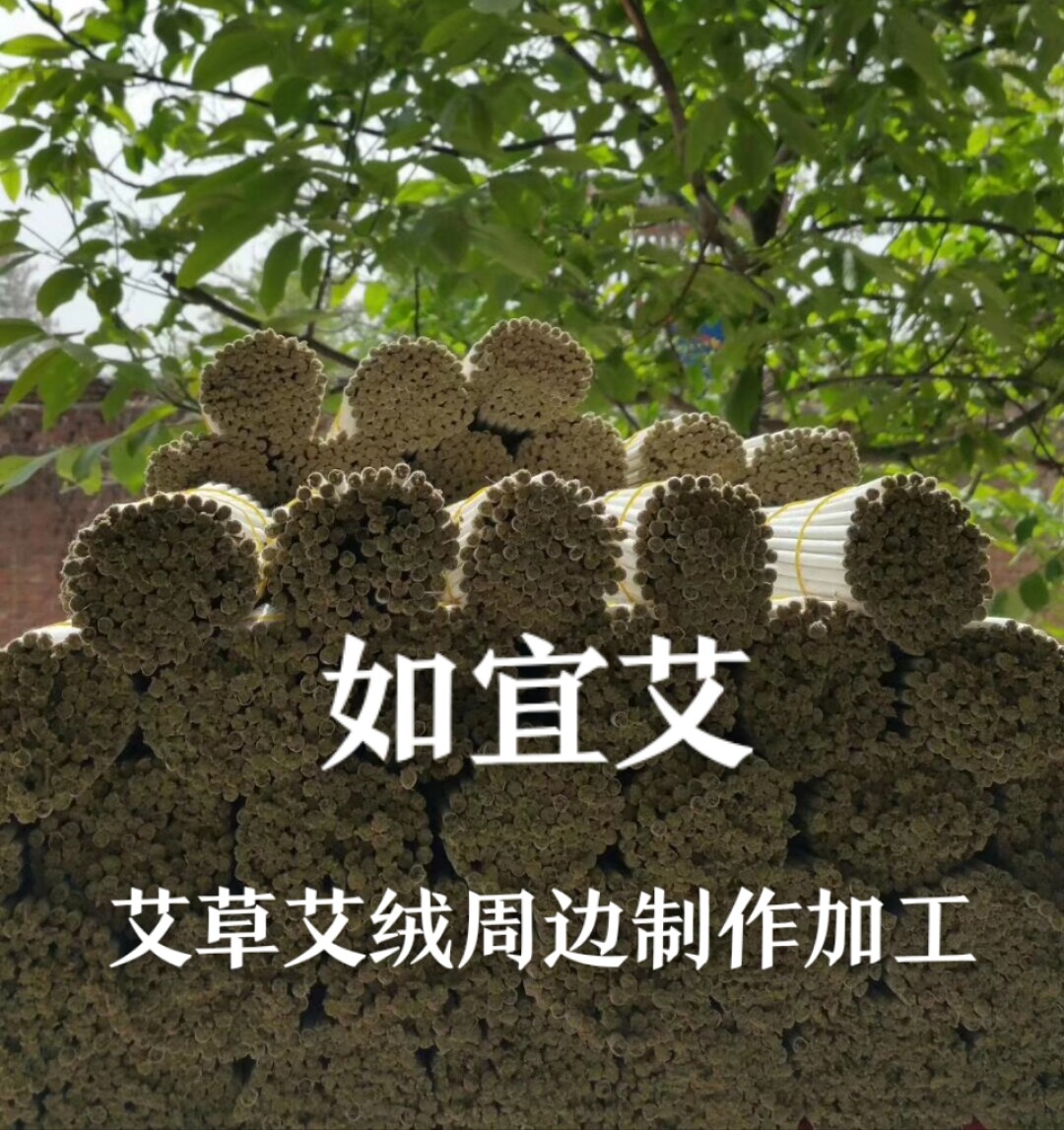 艾生活 艾草周边加工制作