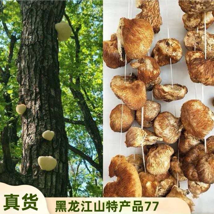 黑龙江山特产品77