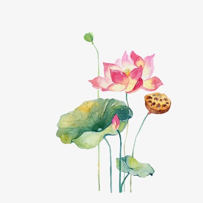 飞扬内画鼻烟壶批发
