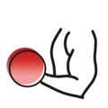 宝莱品牌健身器材折扣店