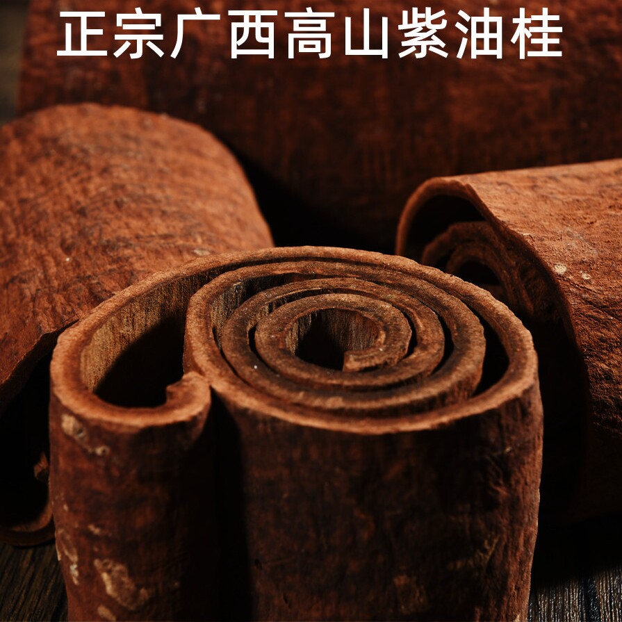 桂中贵族