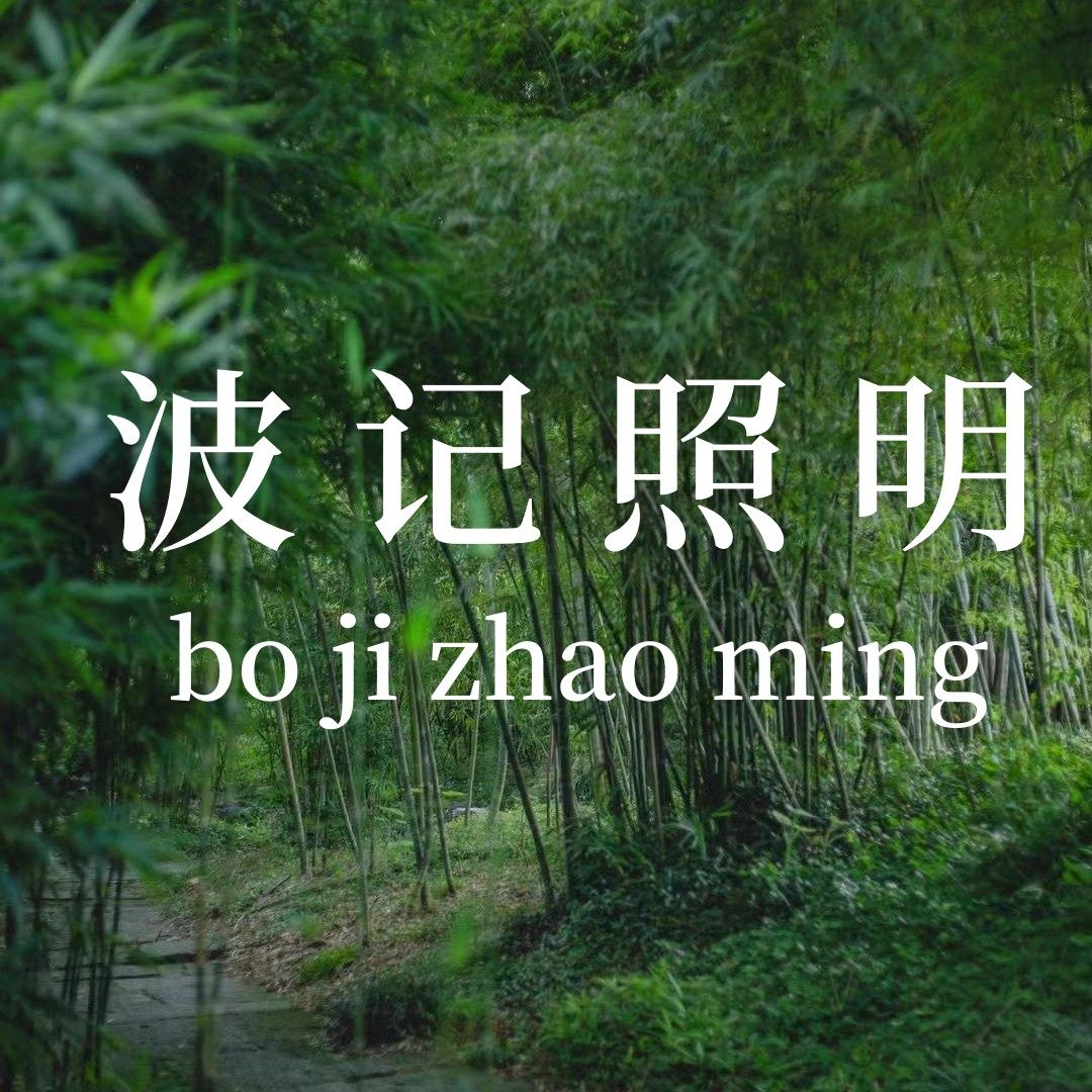 波记照明 店铺LOGO
