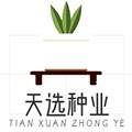 天选种业