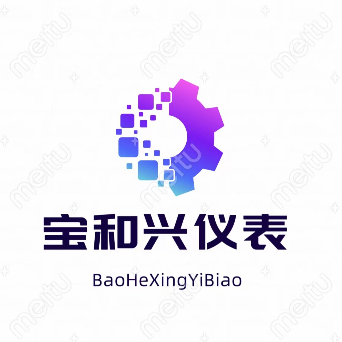 宝和兴仪表 店铺LOGO