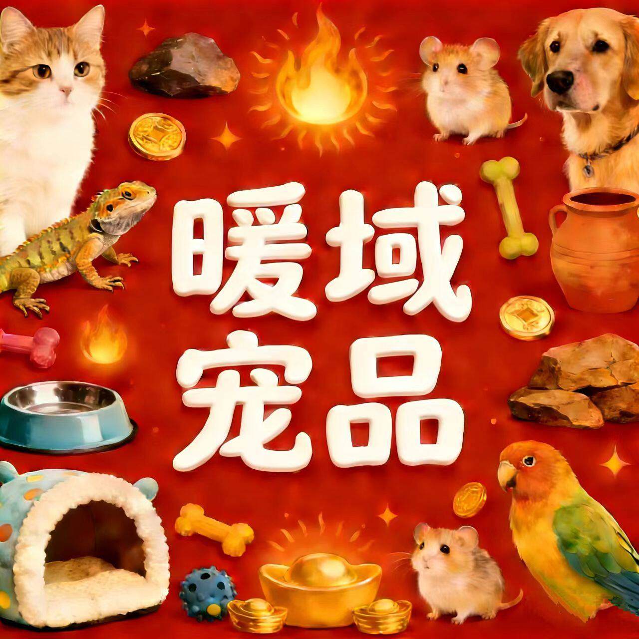 暖域宠品