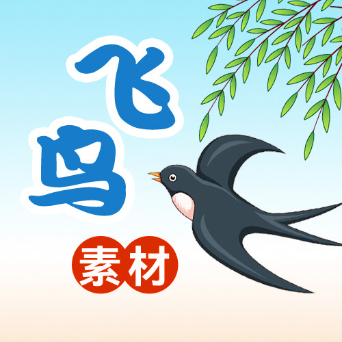 飞鸟素材