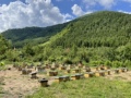 长白山公社