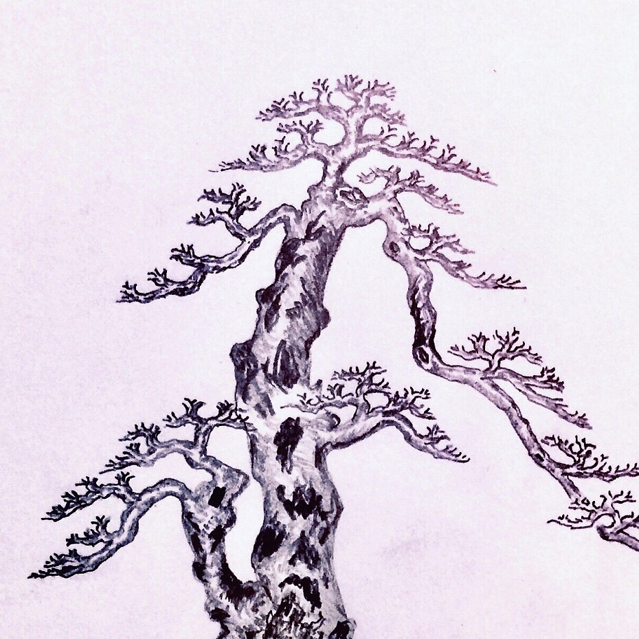 三禾绿植