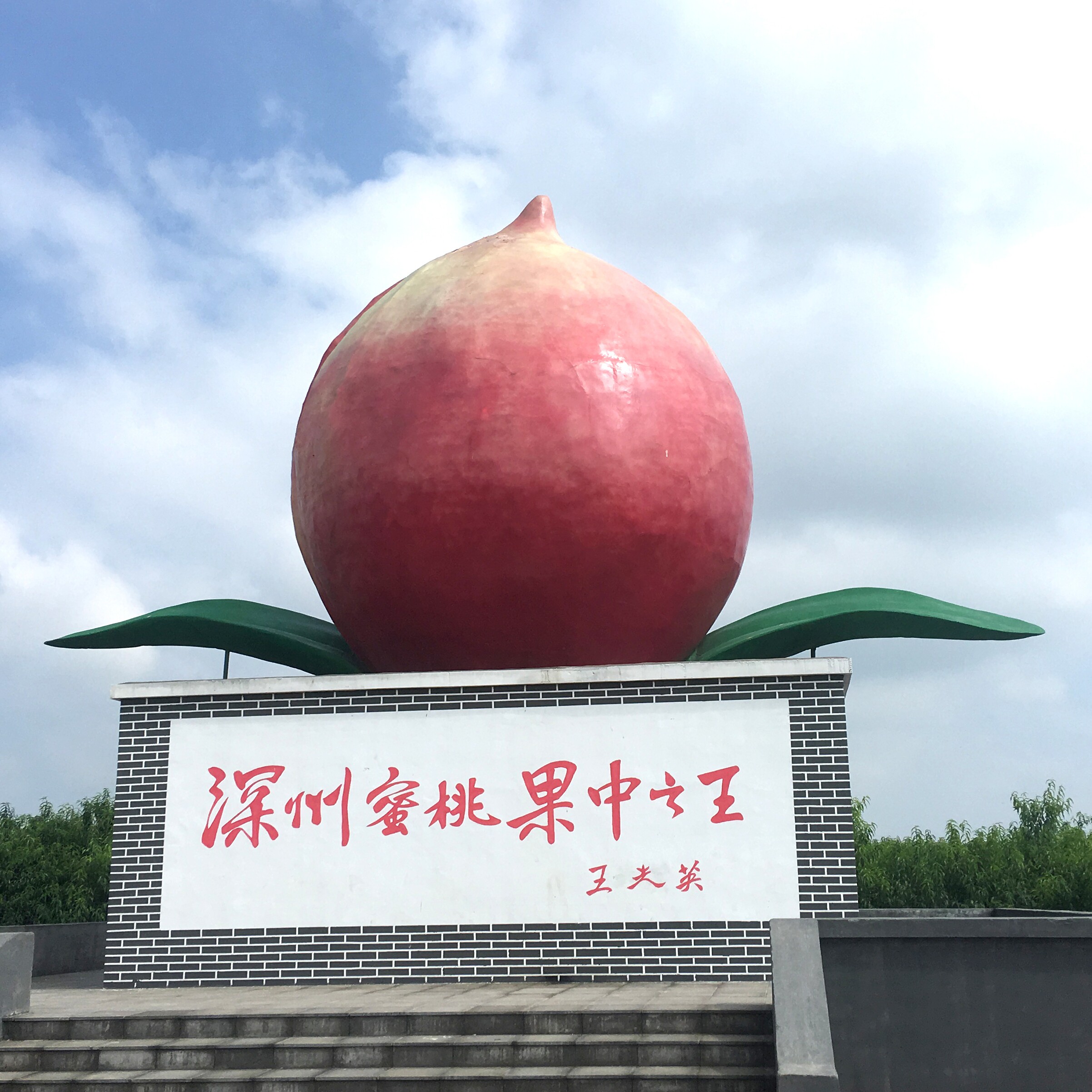 深州桃乡