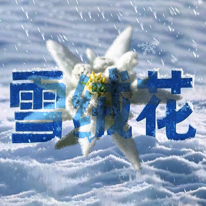 棉麻世家 原创新中式