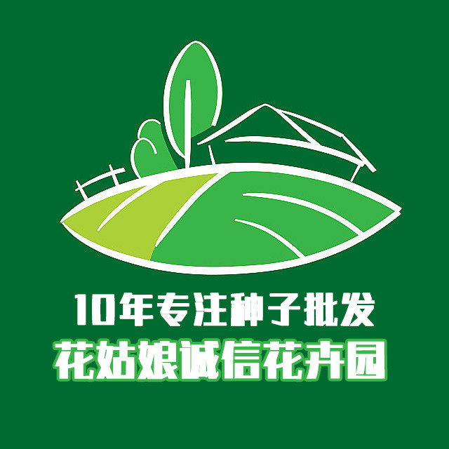 诚信第一 种子店直销