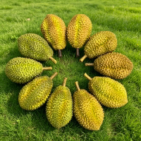 致远仿真