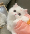 鑫雨饰品