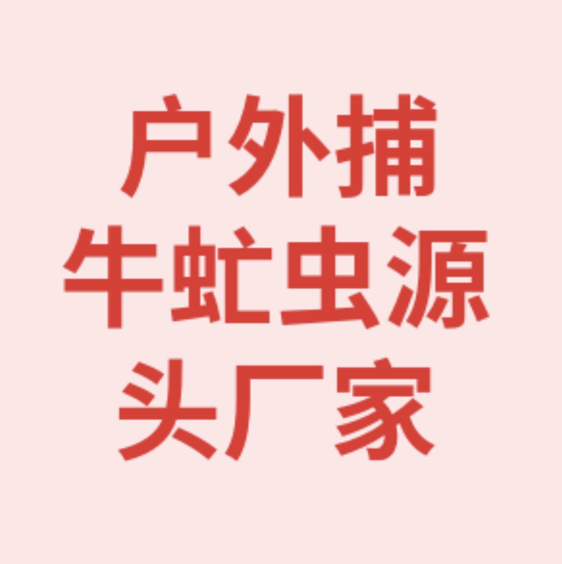 户外大型捕蝇虻虫捉器