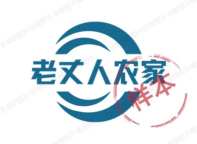 老丈人农家