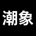 潮象家装店 店铺LOGO