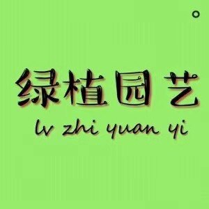 新绿植园艺店