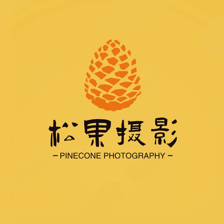 松果摄影海外店