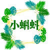 小蝌蚪精品潮玩