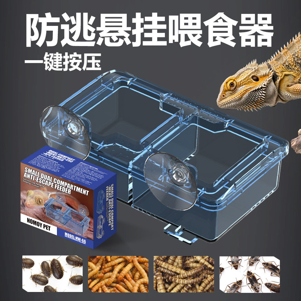 老王爬宠店