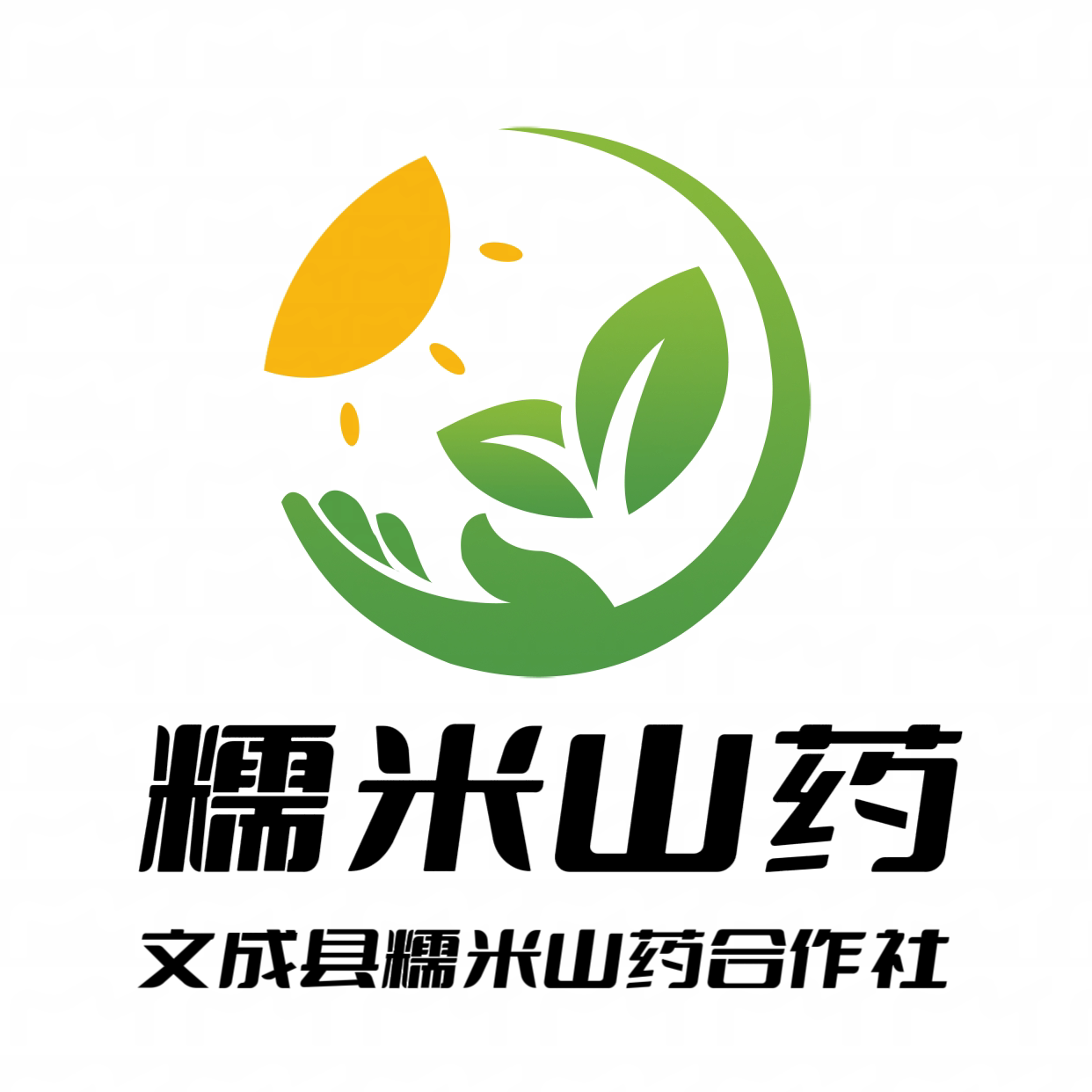 文成县糯米山药合作社