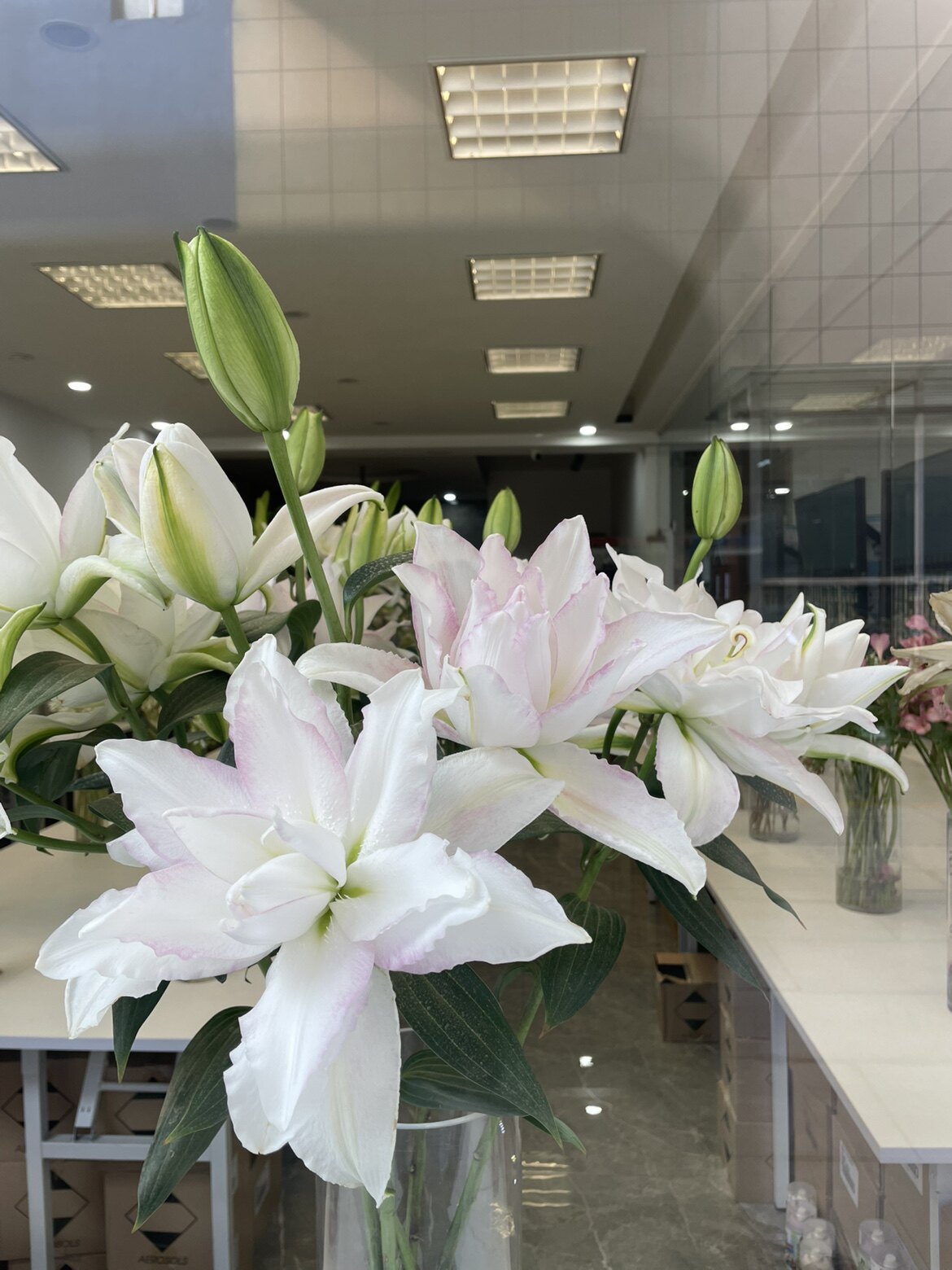 鲜花保鲜剂正品店