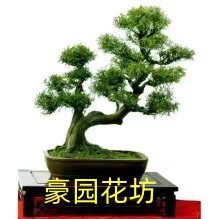 豪园花坊