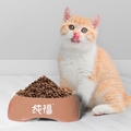 纯福小店