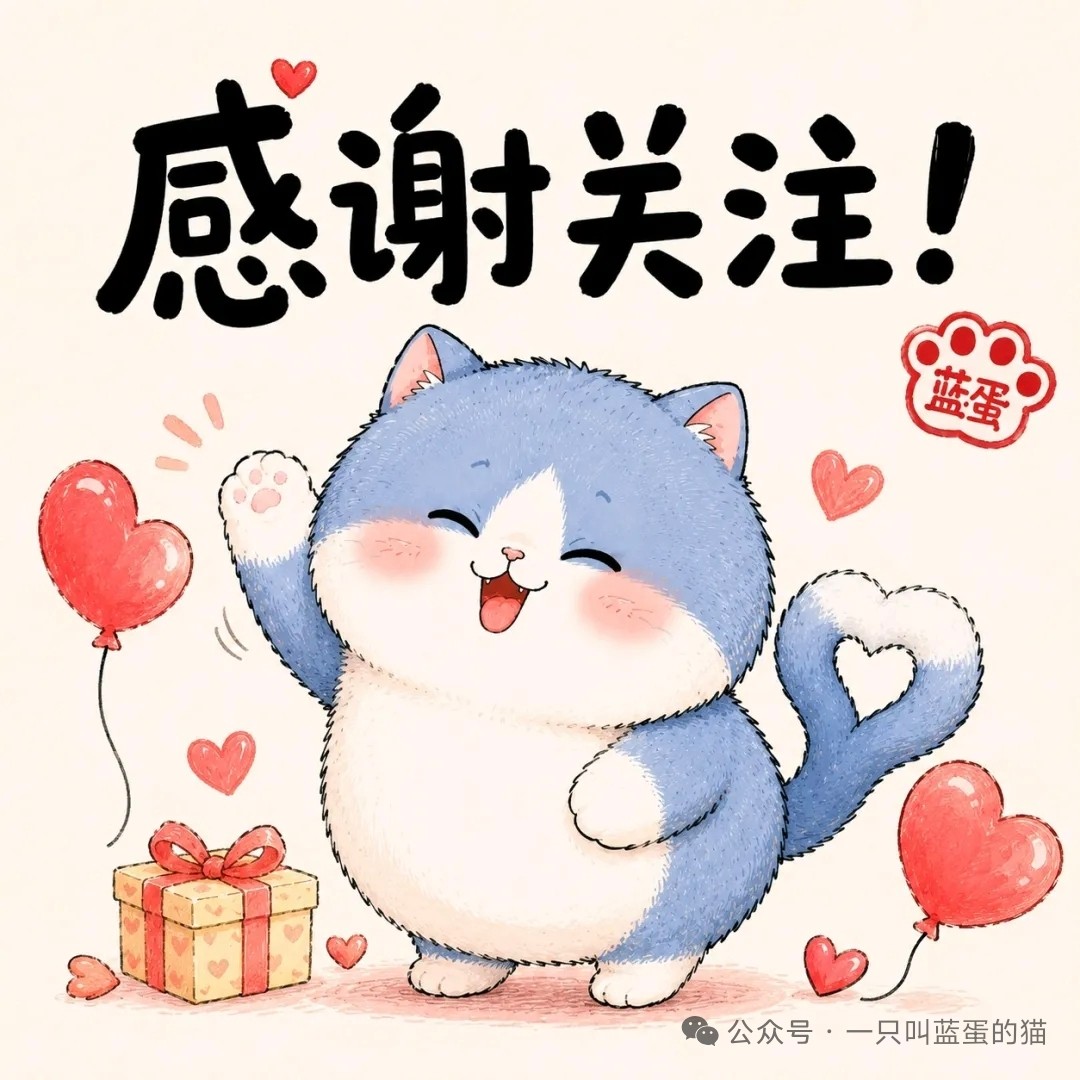 MISS胖胖的小店