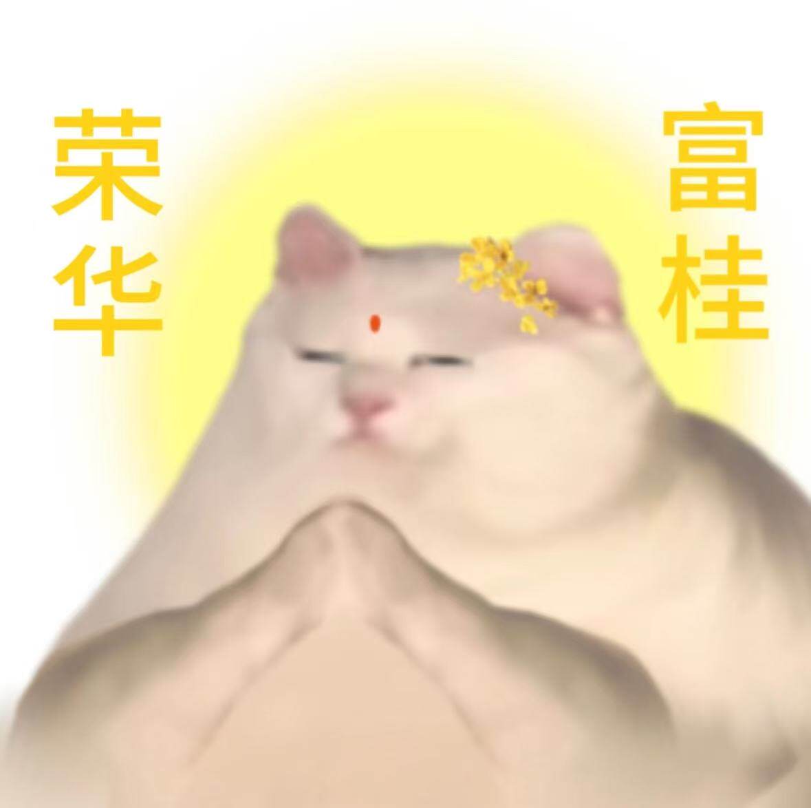 橦芝蝶服饰
